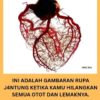 Misteri Organ Jantung Manusia