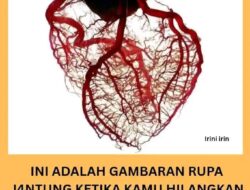 Misteri Organ Jantung Manusia