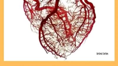 Misteri Organ Jantung Manusia