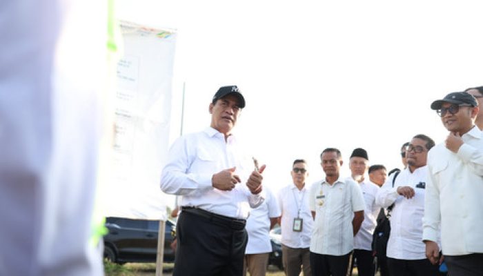 Jaga Pasokan Pakan, Mentan Minta Bulog Siapkan Stok Jagung 250 Ribu Ton